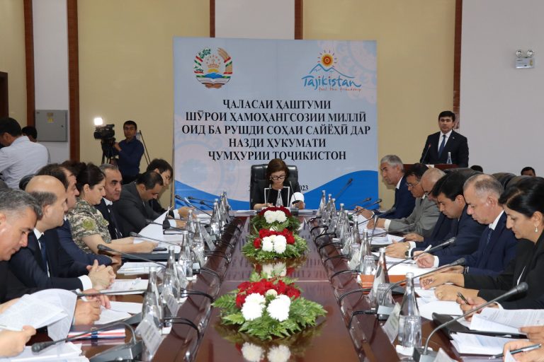 The eighth meeting of the National Coordinating Council for the Development of the Tourism Industry under the Government of the Republic of Tajikistan